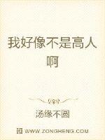 我好像不是高人啊